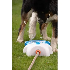 Coolpets Hundewasserbrunnen mit Pedal