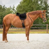 QHP Bareback Pad super soft Pony