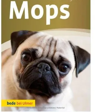 Mops (German) Hardcover – 1 Mar. 2010, Annette Schmitt