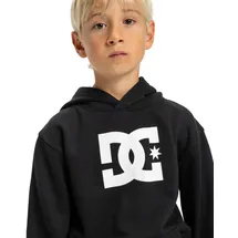 DC Shoes Hoodie Black 170