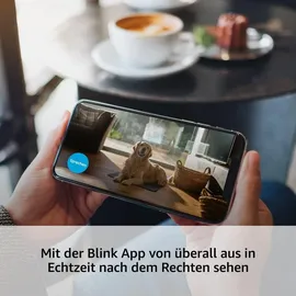 Blink Mini weiß