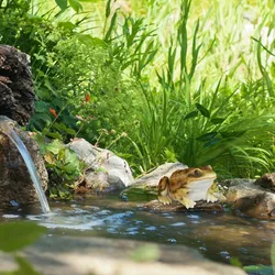 Relaxdays Gartenfigur Frosch, wetterfest, für Balkon, Terrasse, am Teich, Kunststein, sitzende Dekofigur Frosch, gelb