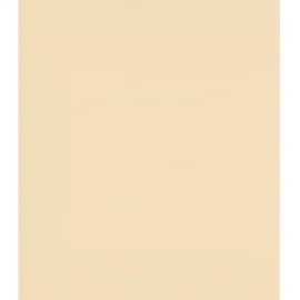 Schöner Wohnen Trendfarbe Deckenfarbe Beige matt 2,5 l