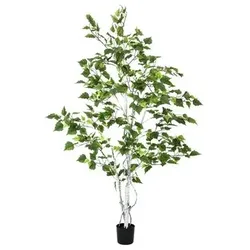 EUROPALMS Birkenbaum, Kunstpflanze, 150cm