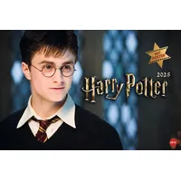 Heye Harry Potter Broschur XL Kalender 2025