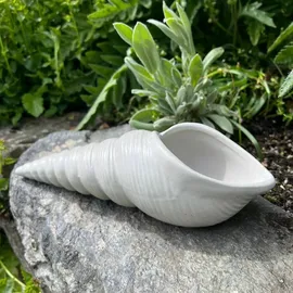 ZGM Betonfigur Muschel - längliche Muschelfigur mit viel Charme und Charakter