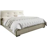 Mirjan24 Polsterbett mit Bettkasten Lazio, Stilvoll Doppelbett, Lattenrost ist im Bettkasten integriert, Gasdruckfeder (Farbe: Soft 033, Größe: 1... - Beige