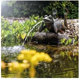 esotec Wasserspeier Frosch