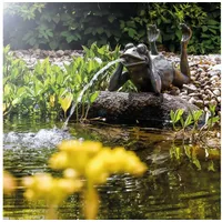 esotec Wasserspeier Frosch