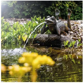 esotec Wasserspeier Frosch