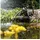 esotec Wasserspeier Frosch