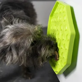 Procyon Leckmatte Hund und Katze Ladi Mat Wobbler mit Saugnapf perfekte Ablenkung beim Pflegen und Baden