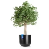BigDean Blumentopf Style Ø 58 x 46 cm Anthrazit