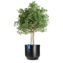 BigDean Blumentopf Style Ø 58 x 46 cm Anthrazit