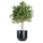 BigDean Blumentopf Style Ø 58 x 46 cm Anthrazit