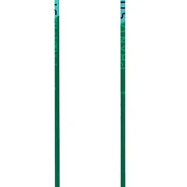 Völkl Volkl Unisex, Teenager Junior Stöcke - Green - 90 cm