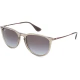 Ray Ban Erika Color Mix RB4171 65138G 54-18 glänzend grau transparent/grau