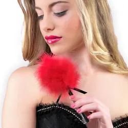 Bdsm-zubehör bdsm-staubwedel rot clare