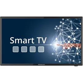 Megasat Royal Line IV 22" LED HD Camping Smart TV