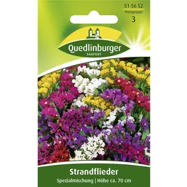 Quedlinburger Saatgut Quedlinburger Strandflieder, Spezialmischung Samen