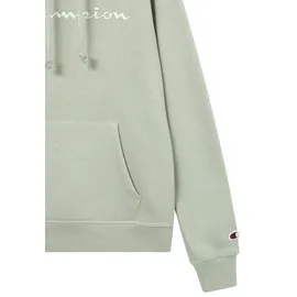 Champion Hoodie Icons Tonal Mehrfarbig M