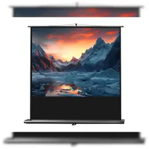 Celexon Ultramobil Plus Professional 160x120 4:3