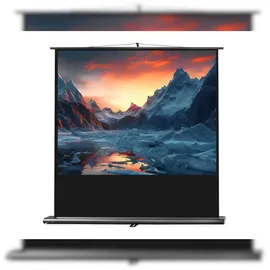 Celexon Ultramobil Plus Professional 160x120 4:3