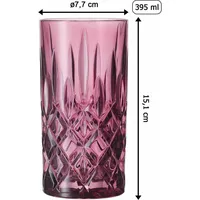 Nachtmann Noblesse Longdrinkglas 0,395 l 4er Set