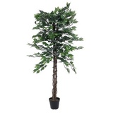 Europalms Ficus-Benjamini Multi-Stamm, 150cm