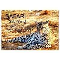 Calvendo Safari / Afrika (Wandkalender 2026 DIN A3 quer),