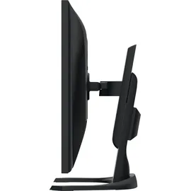 Eizo FlexScan EV3240X schwarz, 31.5" EV3240X-BK