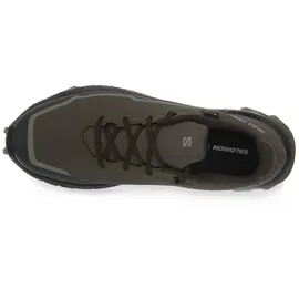 Salomon Alphacross 5 Herren Olive Night 41