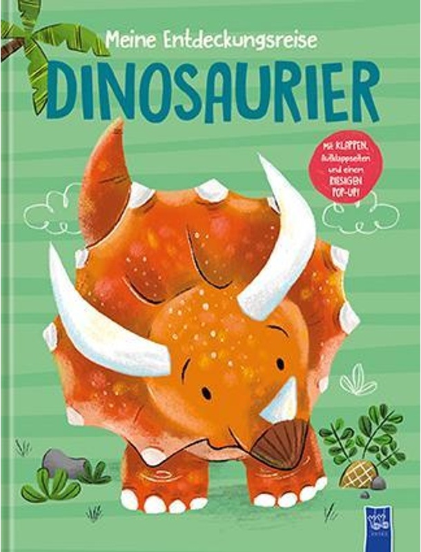 Meine Entdeckungsreise - Dinosaurier, Taschenbuch