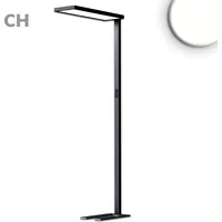 ISOLED LED Office Pro Stehleuchte Up/Down, 80W/20W, schwarz, UGR