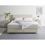 LeGer Home by Lena Gercke Zalia 165 x 217 cm Beige