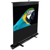 Elite Screens F84NWV 171x128 4:3
