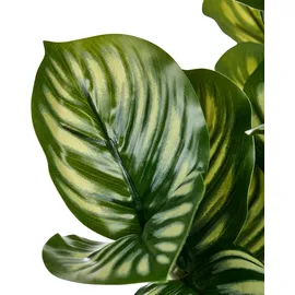 Beliani Kunstpflanze ORBIFOLIA 50 cm Grün