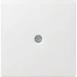 Gira Zentraleinsatz rws-gl f.Schnurableitung 027403