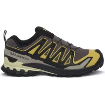 Salomon XA Pro 3D V9 GTX Herren Urban Chic/Black/Cress Green 44
