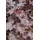 PlantaPro Heuchera micrantha 'Palace Purple' 9x9 cm Topf – Winterhart, Mehrjährig, Pflegeleicht – Purpurglöckchen – Beetstaude für Schatten & Kübel