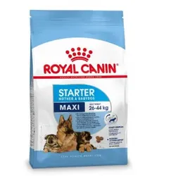 Royal Canin Maxi Starter Hundefutter 2 x 15 kg
