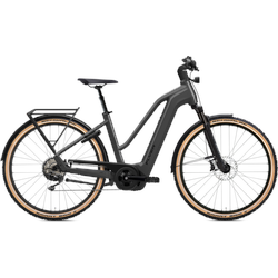 Flyer G1 Gotour 7.12 XC ABS Bosch Smart System Performance Line CX 85Nm/750Wh...