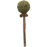 Trixie Matatabi Lolli 42430