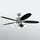Westinghouse Arius 132 cm Deckenventilator mit Licht inkl. Fernbedienung