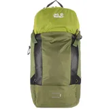 Jack Wolfskin Phantasy 22.5 LT Rucksack 54 cm greenwood