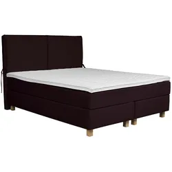 Boxspringbett HOME AFFAIRE "Nele", lila, B:161cm L:210cm, Struktur fein (100% Polyester), Samtvelours (100% Polyester), Komplettbetten, Boxspringbett, inkl. Topper im schlichtem Design