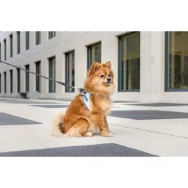 Curli Glow Hundegeschirr Reflective Grau 3XS