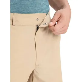 Icebreaker Hike Kurze Hose Beige 30