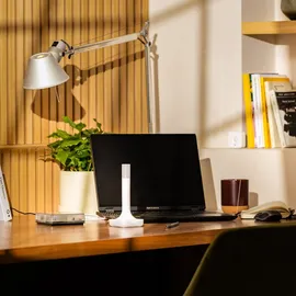 home assistant Connect ZBT-2 Zigbee 3,0/Thread/Matter USB-Adapter