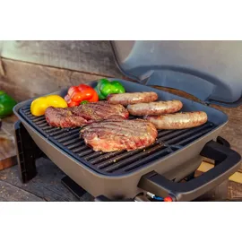 Nexgrill Fortress 1-Brenner Gasgrill